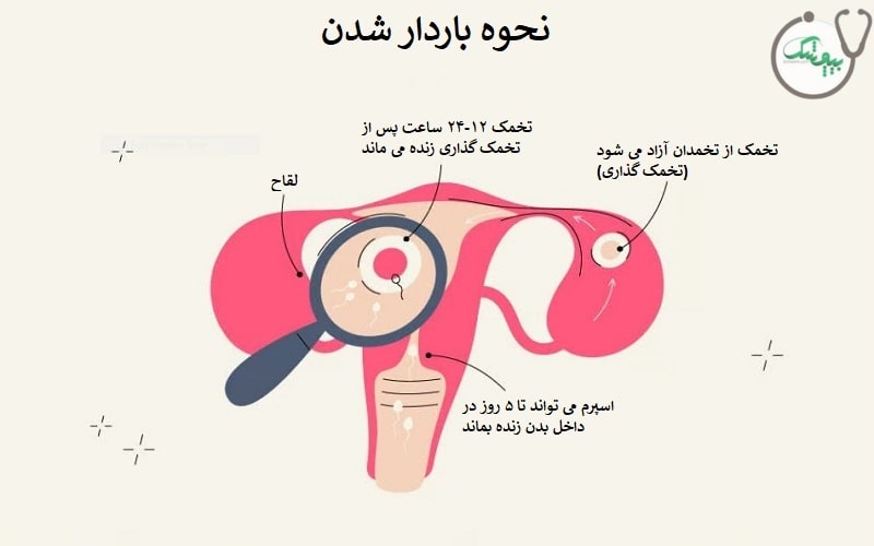 روش باردار شدن