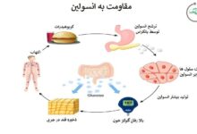 مقاومت به انسولین
