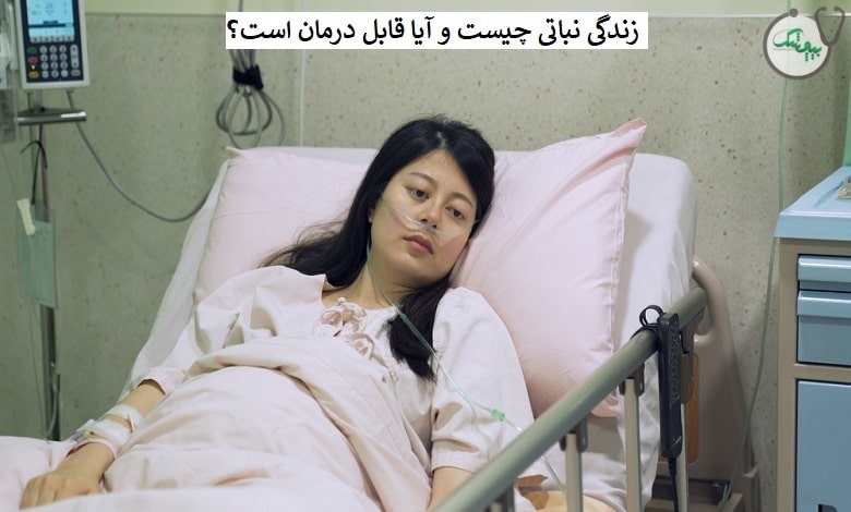 زندگی نباتی