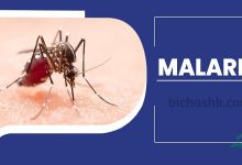 بیماری مالاریا چیه